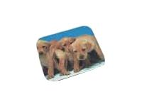 LAB PUPPIES Mouse Pad 