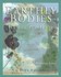Book: Earthly Bodies & Heavenly Hair Dina Falconi, Paperback