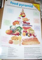 Healthy+food+pyramid+poster