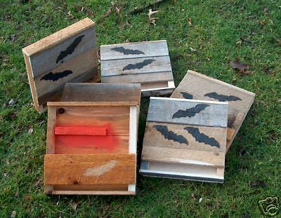 1=.Bat House.Bat.Box.1=CHAMBER.By.MYRON E Holley. GREAT SALE..Gift.4 loved ...