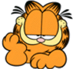 kittykat1966