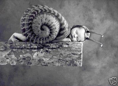 Anne Geddes   JULIA SNAIL   11 x 14  BUY 3 GET 1 FREE  