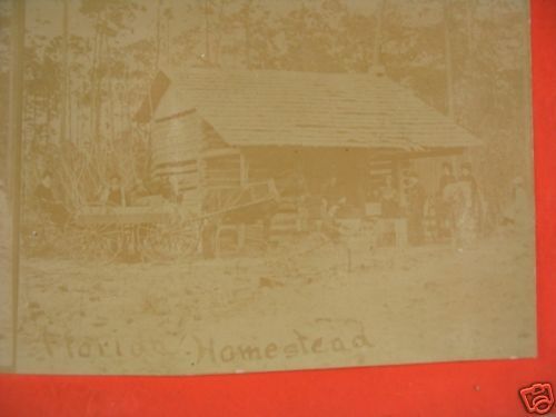 Schultz Florida Homestead FL Stereoview Photograph  