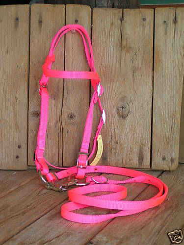 USA made HOT PINKPony.PLETE Nylon Bridle & Bit  