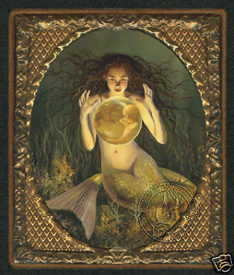 12 Asstd Mermaid Greeting Cards  David Delamare (AMR 1)  