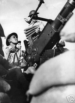 WW2 Photo Australian Troops 40mm AA Gun Australia WWII  