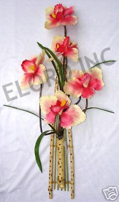 beige red Moth Phalaenopsis orchid flower Bamboo decor  